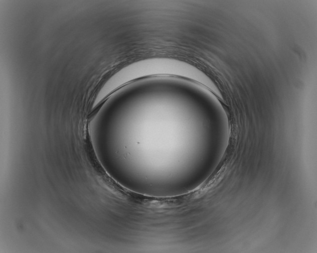 X0000112480180200908171227