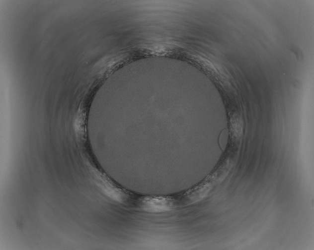X0000112480181200908171227