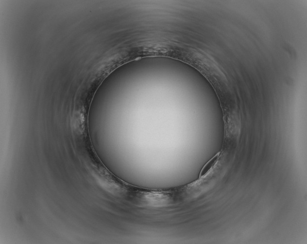 X0000112480183200908171227