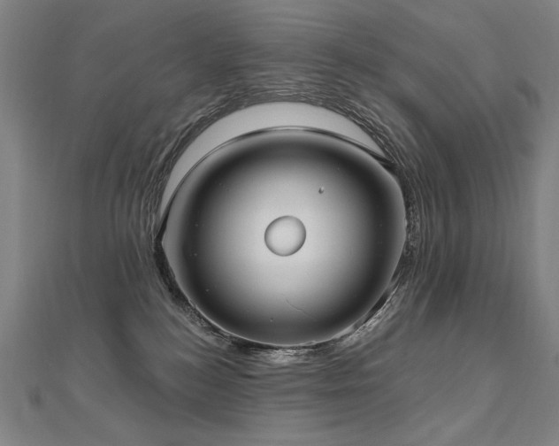 X0000112480184200908171227