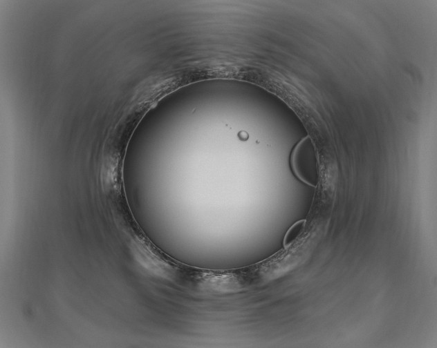X0000112480185200908171227