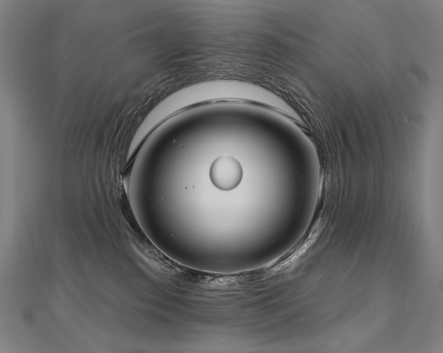 X0000112480186200908171227