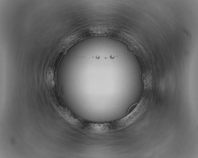 X0000112480187200908171227