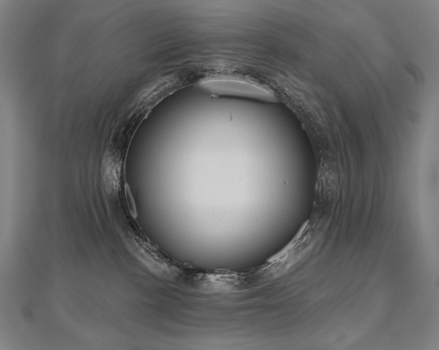 X0000112480188200908171227