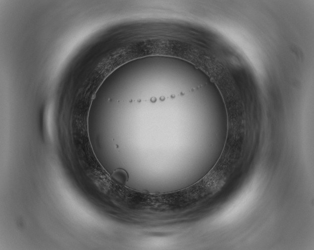 X0000112480189200908171227