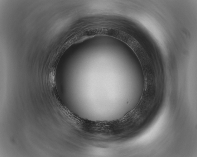 X0000112480190200908171227
