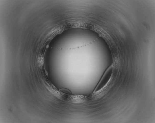 X0000112480191200908171227