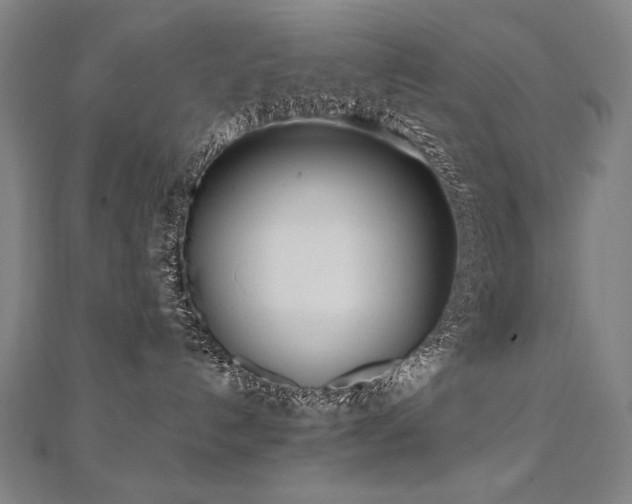 X0000112480192200908171227
