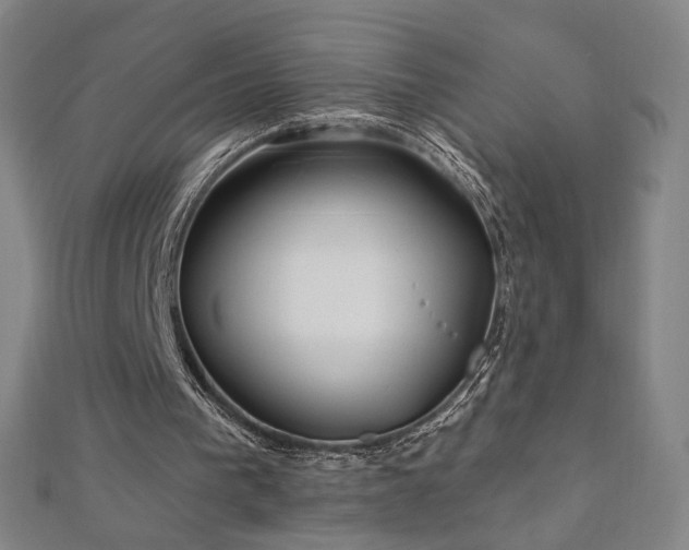 X0000112480193200908171227
