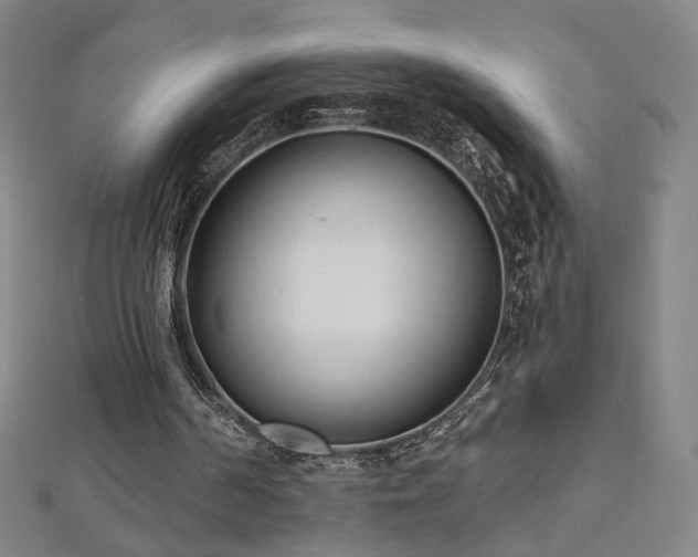 X0000112480194200908171227