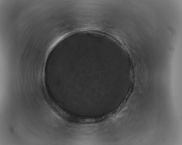 X0000112480196200908171227