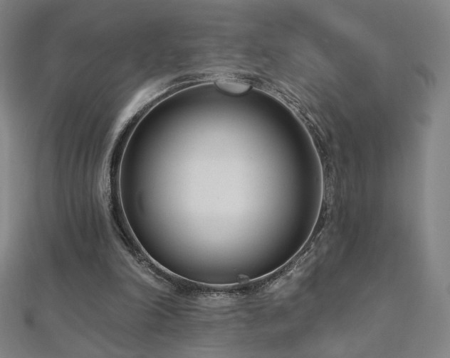 X0000112480198200908171227