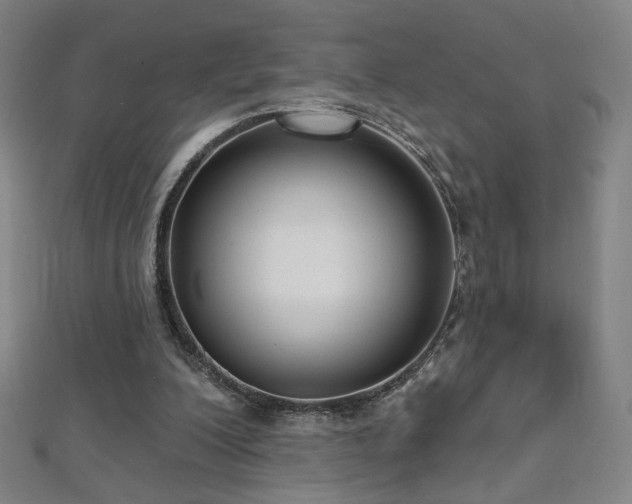 X0000112480200200908171227