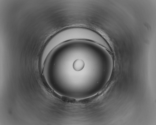 X0000112480201200908171227