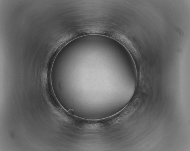 X0000112480202200908171227