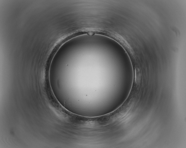 X0000112480204200908171226