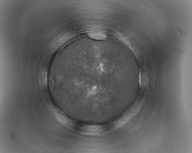X0000112480205200908171226