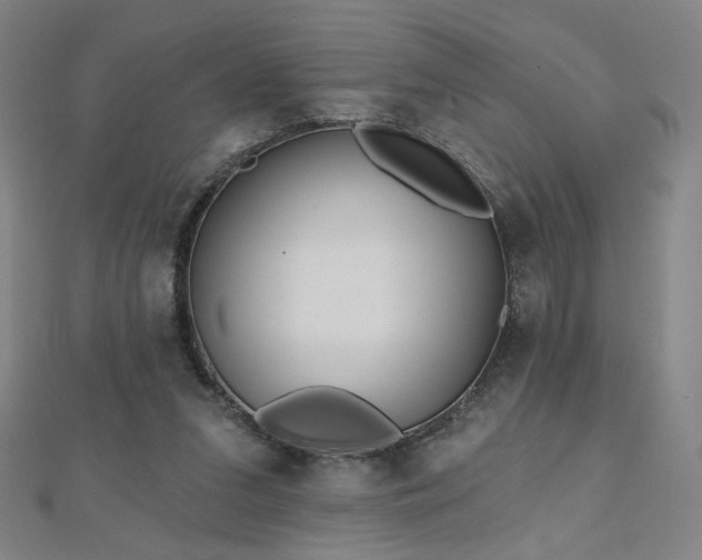 X0000112480207200908171226