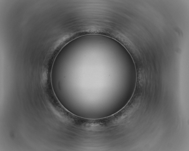 X0000112480208200908171226