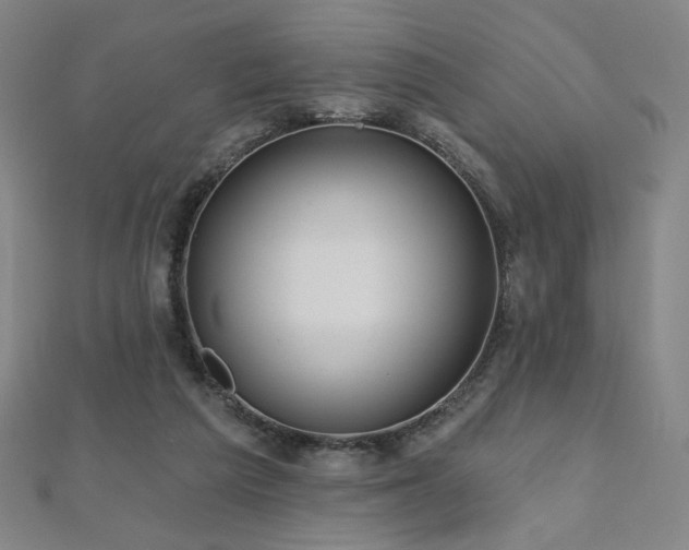 X0000112480209200908171226
