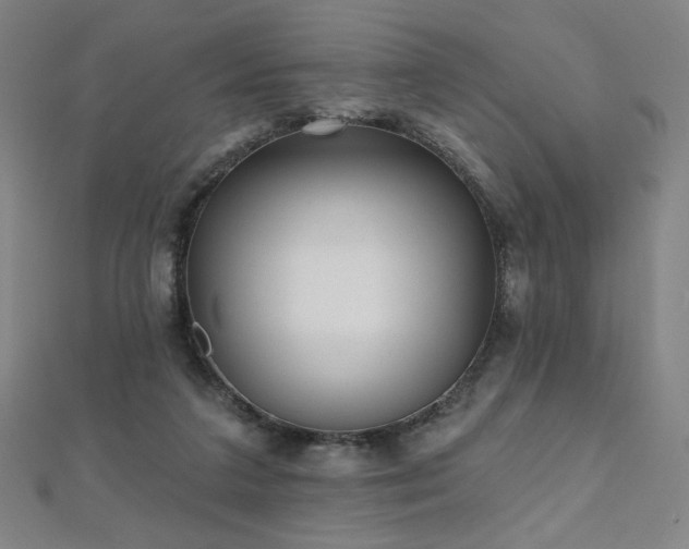 X0000112480211200908171226