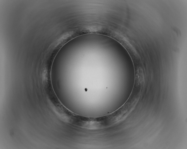 X0000112480212200908171226
