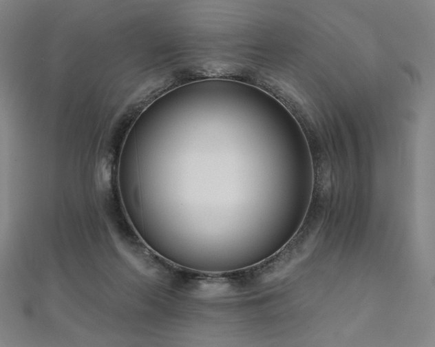 X0000112480214200908171226