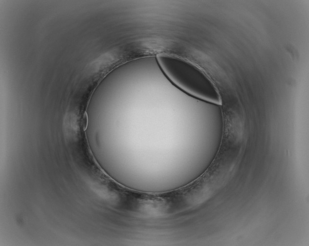 X0000112480215200908171226