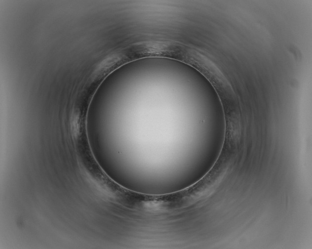 X0000112480216200908171226