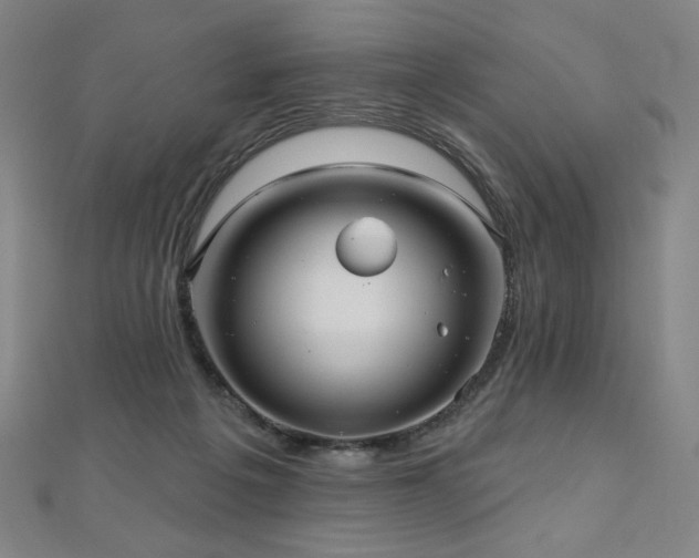 X0000112480217200908171226
