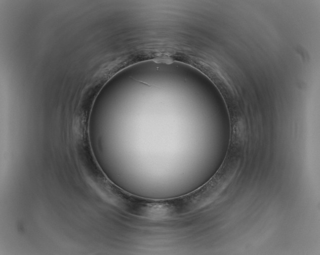 X0000112480218200908171226