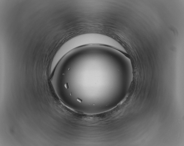 X0000112480221200908171226