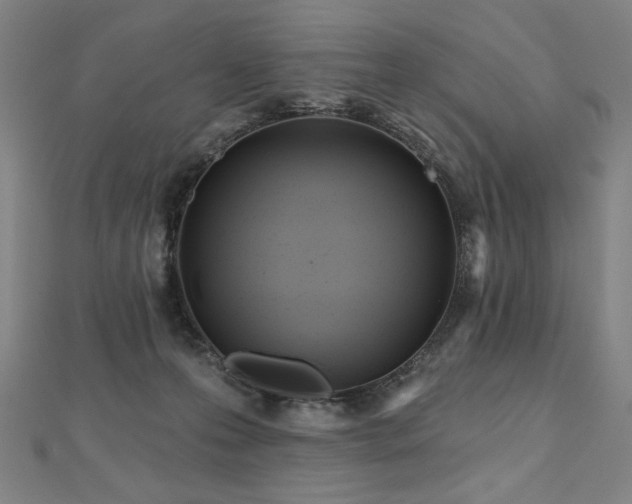 X0000112480223200908171226