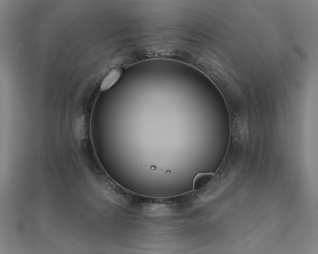 X0000112480224200908171226