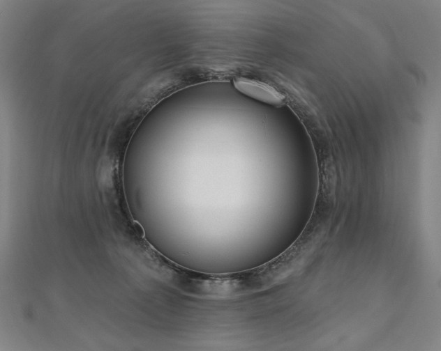 X0000112480225200908171226