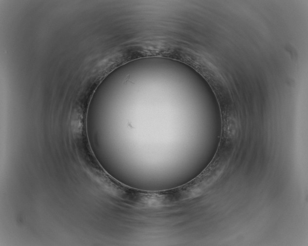 X0000112480226200908171226
