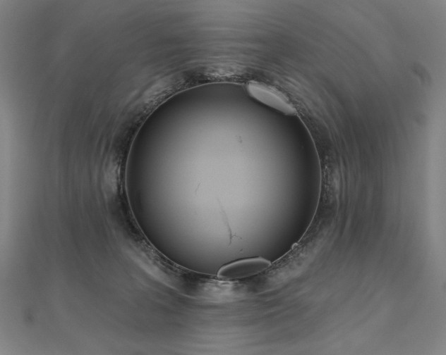 X0000112480227200908171226