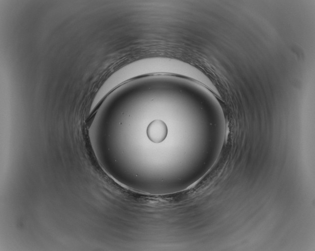 X0000112480229200908171226