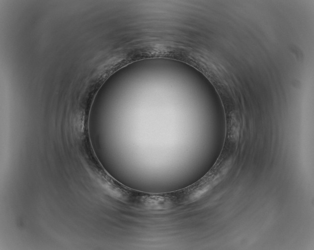 X0000112480230200908171226