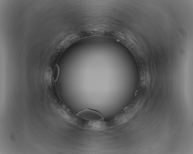 X0000112480231200908171226