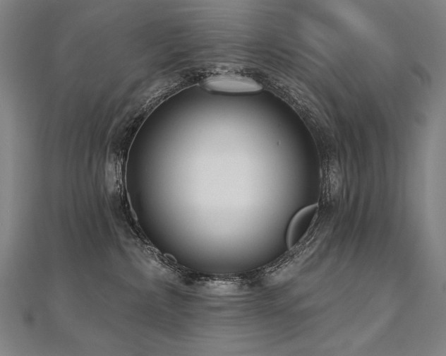 X0000112480236200908171226