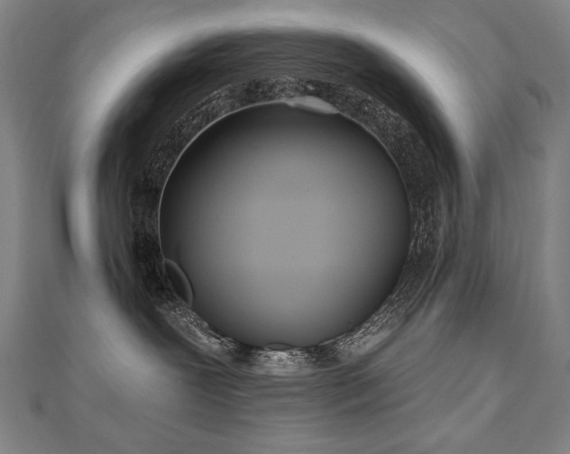X0000112480239200908171226