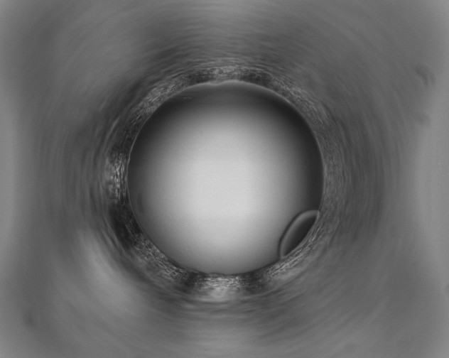 X0000112480240200908171226
