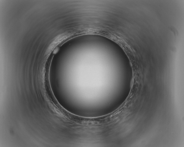 X0000112480242200908171225