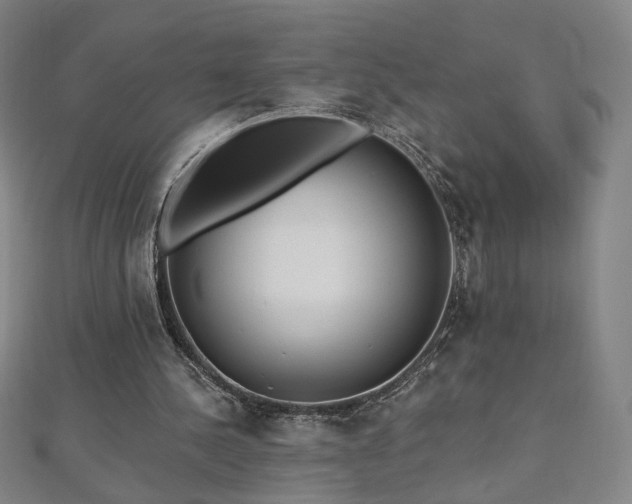 X0000112480244200908171225