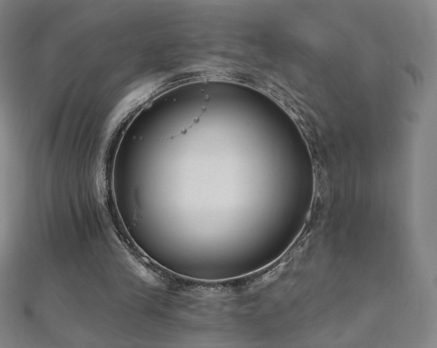 X0000112480245200908171225