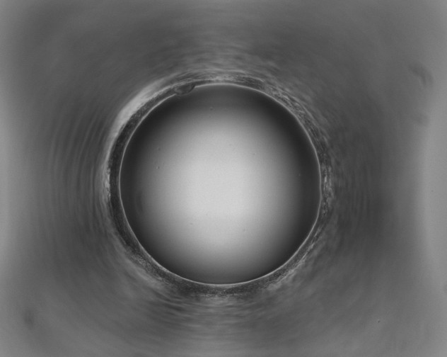 X0000112480246200908171225