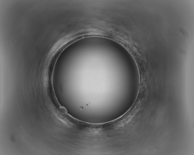 X0000112480247200908171225