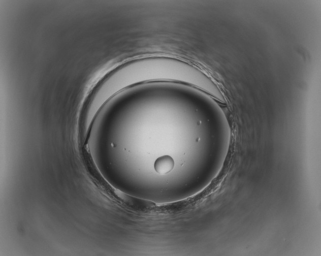 X0000112480248200908171225