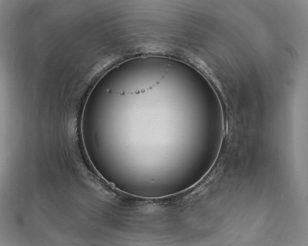 X0000112480249200908171225